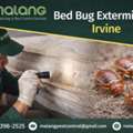 Professional Bed Bug Control Orange County CA