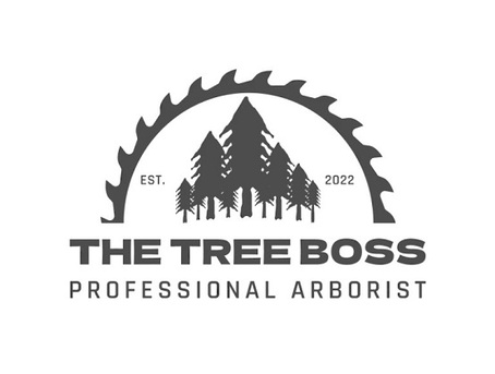 New York, Business, The Tree Boss
