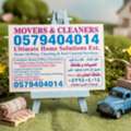 Pest Control Spray And Bed Bug's Killing Solution And Sofa Carpet Shampo Cleaning