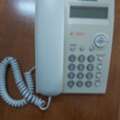 SAR 50, Panasonic Phone