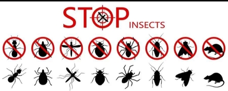 Al Iskan, Pest Control, H48PEST CONTROL&hearts;️SPRAYS&hearts;️And BED BUGS&hearts;️Solution With Guaranteed&hearts;️0575282420