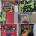 BHD 1,  Tools For Sale