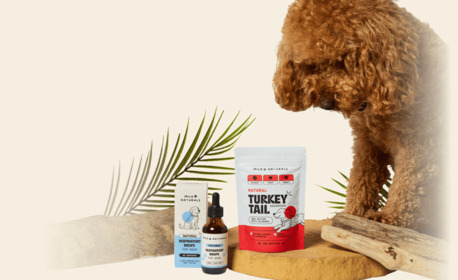 London, Business, Milo Naturals