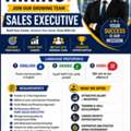 Sales Execuitve