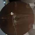 SAR 500,  Dish