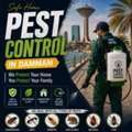 Premium Pest Control Services In Damam