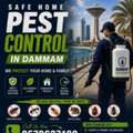 Professional Pest Control Experts In Dammam
