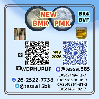 Hong Kong, Materials, CNY 20,  CAS 5449-12-7  BMK Glycidic Acid Sodium Salt  Powder 99% High Purity   Fast Shipping