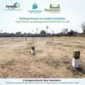 INR 35000,  150 Sq. Yard,  Foxkonn Central Park &ndash; Premium Open Plots In Adibatla