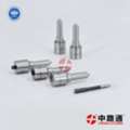 CNY 3,  Nozzle Sprayer 0 433 172 546 VE