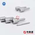 CNY 3,  Nozzle Sprayer 0 433 175 456 VE