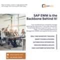 SAP EWM Training: Why Warehouse Automation Careers Are Growing Rapidly In 2026