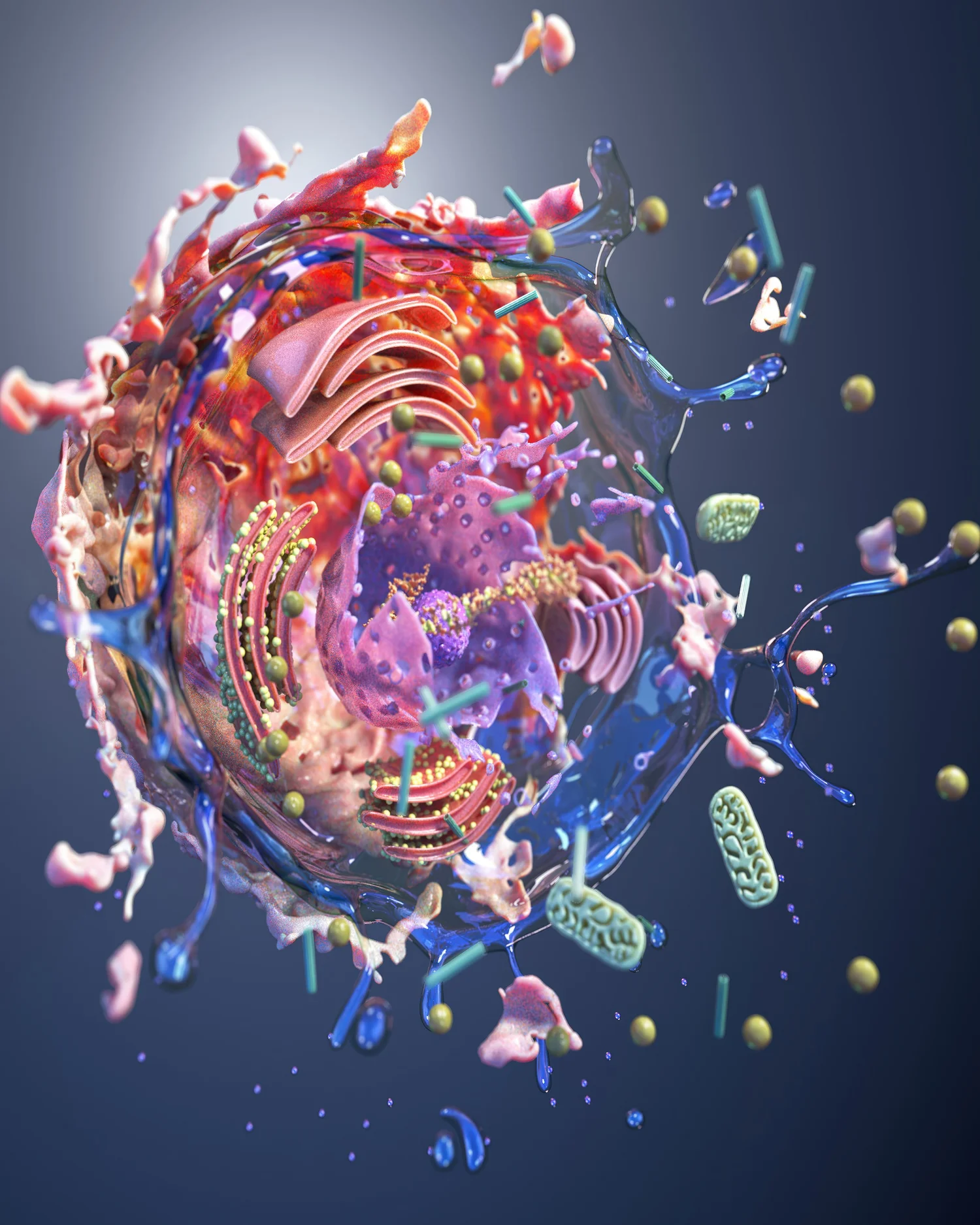 New York, Appliances, USD 100,  Digital Artist Exploring Cellular Structures