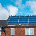 Protect Your Roof With Anti Pigeon Netting For Long-Term Solar Safety