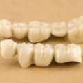 Mastering Your Smile: Hawley Retainer