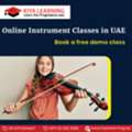Online Instrument Classes In Liwa Oasis