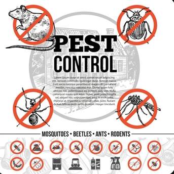 Manfuha Al-Jadidah, Pest Control, ◆PEST CONTROL Riyadh◆Cleaning And Relocation &clubs;︎Services Best PRICE&clubs;︎