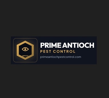 New York, Business, Prime Antioch Pest Control