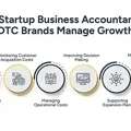 Startup Business Accountant | DTC Growth Support