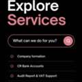 Professional Audit Report Services