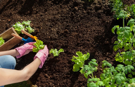 New York, Business, Landscaping Delray Beach