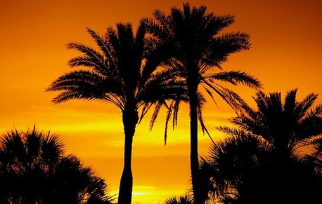 New York, Legal, Best Services To File A Corporation In Florida Today