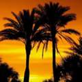 Best Services To File A Corporation In Florida Today