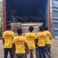 Shifting To Bhopal? Hire The Most Trusted Packers And Movers Now!