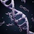 Cell Therapy CDMO | Advanced CGMP Manufacturing Solutions