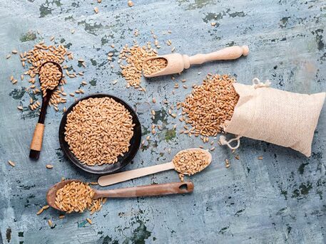 New York, Food, WHEAT BRAN Style Dried Taste Sweat Color Brown Quality Premium Product Type Food Damaged