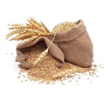 New York, Food, WHEAT BRAN Style Dried Taste Sweat Color Brown Quality Premium Product Type Food Damaged