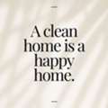 Cleaner