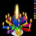 Amazing Musical Birthday Candle &ndash; Lotus Flower Candle Spins, Opens & Sings Happy Birthday