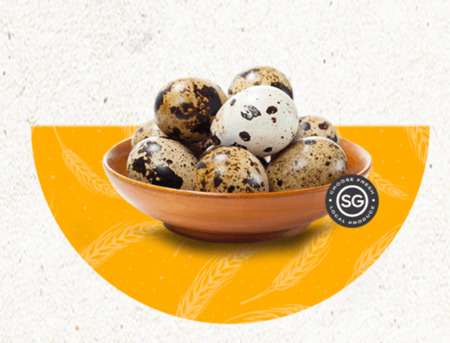 Singapore, Food, Buy Quail Eggs Singapore For Fresh Daily Egg Supply