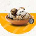 Buy Quail Eggs Singapore For Fresh Daily Egg Supply