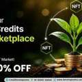 Carbon Credits NFT Marketplace Launch Your Platform - Starting At Just $2,500