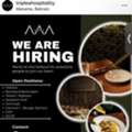 Kitchen Staff, Cleaners