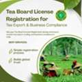 Apply For Tea Board License Online In India