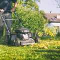 Coastal Lawn Solutions