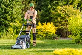 Sydney, Farm/Garden, Coastal Lawn Solutions
