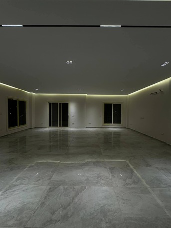 Riyadh, Construction, Experienced Painter Available For Work &ndash; 18 Years Experience