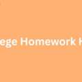 How To Get Reliable College Homework Help Online