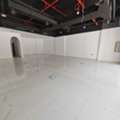 AED 220000,  1500 Sq. Feet,  1,500 Sqft Shop / Showroom / Office For Rent In Al Garhoud Dubai