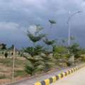 INR 28999,  260 Sq. Yard,  Hmda & Rera Approved Open Plots For Sale At Near Shamshabad Airport