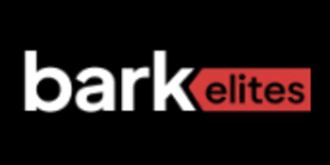 New York, Marketing, Custom Logo Design Services | Professional Branding By Bark Elites