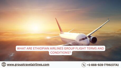 New York, Travel, What Are Ethiopian Airlines Group Flight Terms And Conditions?