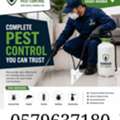 🚫 Say Goodbye To Pests &ndash; Expert Pest Control Services
