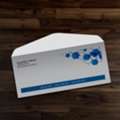Print Custom Standard Envelopes From PrintMagic