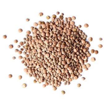 New York, Food, High Protein Brown Lentils With Rich Fiber Brown Lentils Ensuring Excellent Quality