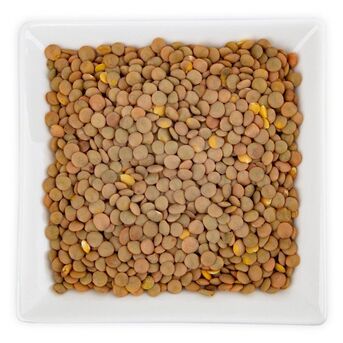 New York, Food, High Protein Brown Lentils With Rich Fiber Brown Lentils Ensuring Excellent Quality